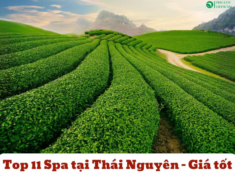 Top 11 Spa tại Thái Nguyên Uy Tín Nhất 2025 | Giá Tốt & Dịch...